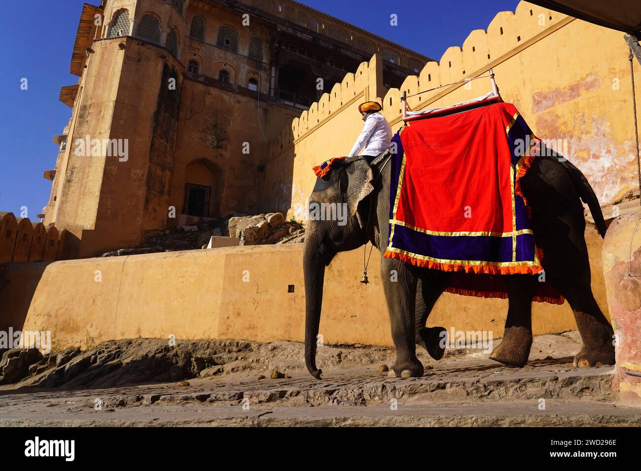 India 11th Jan 2024 Indian Mahout Rides A Painted Elephant In The   India 11th Jan 2024 Indian Mahout Rides A Painted Elephant In The Historical Amer Fort In Jaipur India On January 11 2024 Photo Abacapresscom Credit Abaca Pressalamy Live News 2WD296E 