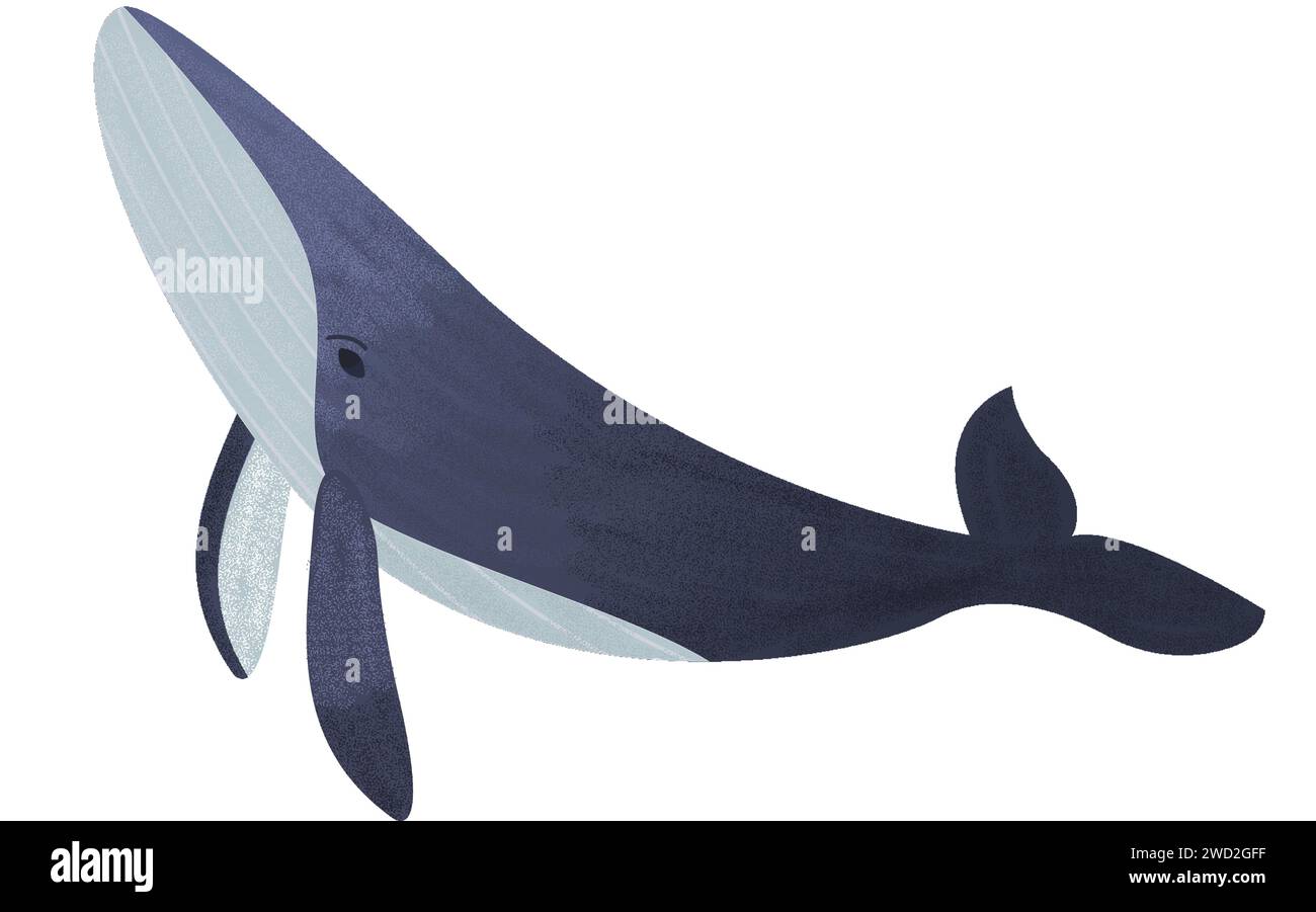 Humpback whale with gradient and noise. Cartoon mammal blue whale with ...