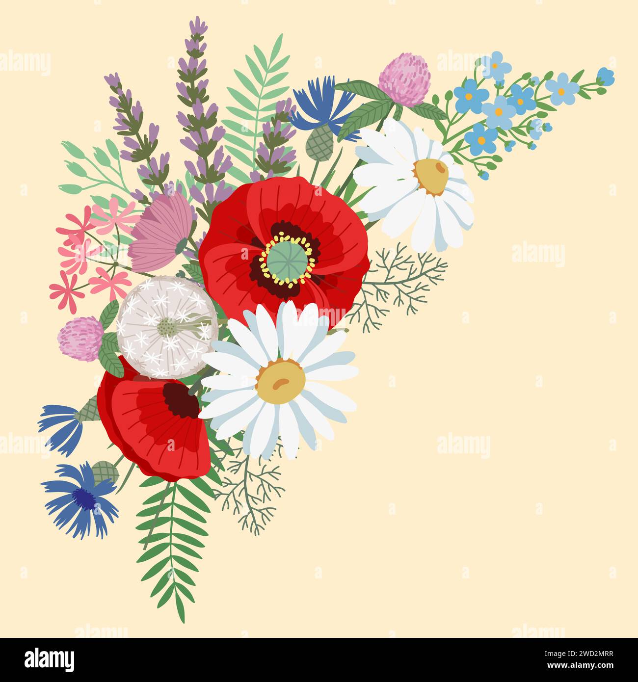 Hand drawn vector illustration. Bouquet summer meadow flowers Stock ...