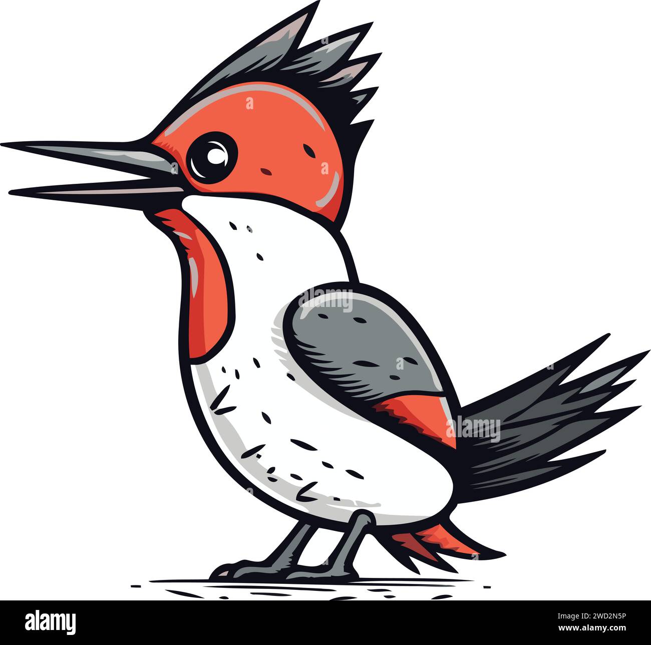 Red headed Woodpecker. Vector illustration on white background Stock
