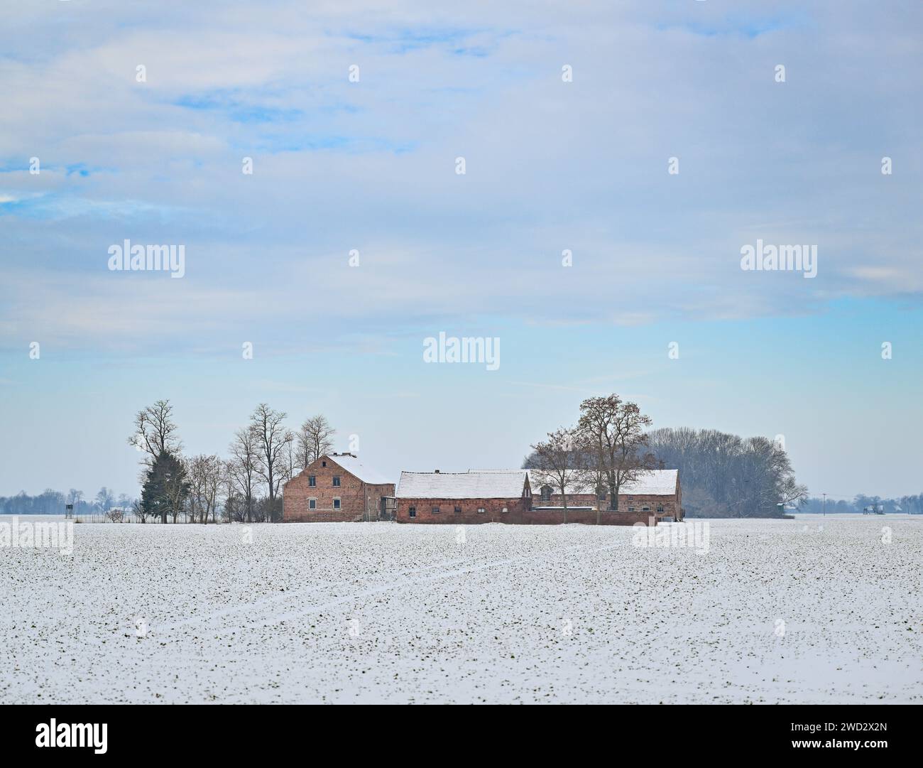 Letschin, Germany. 18th Jan, 2024. Fields with a farm are covered in snow in the wintry Oderbruch. The Oderbruch was created after draining almost 270 years ago and was settled with colonists by Prussian King Frederick II. It is preserved as a habitat with an ingenious water system. Credit: Patrick Pleul/dpa/Alamy Live News Stock Photo