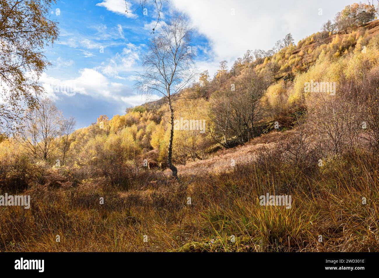 Rocky hillside hi-res stock photography and images - Alamy