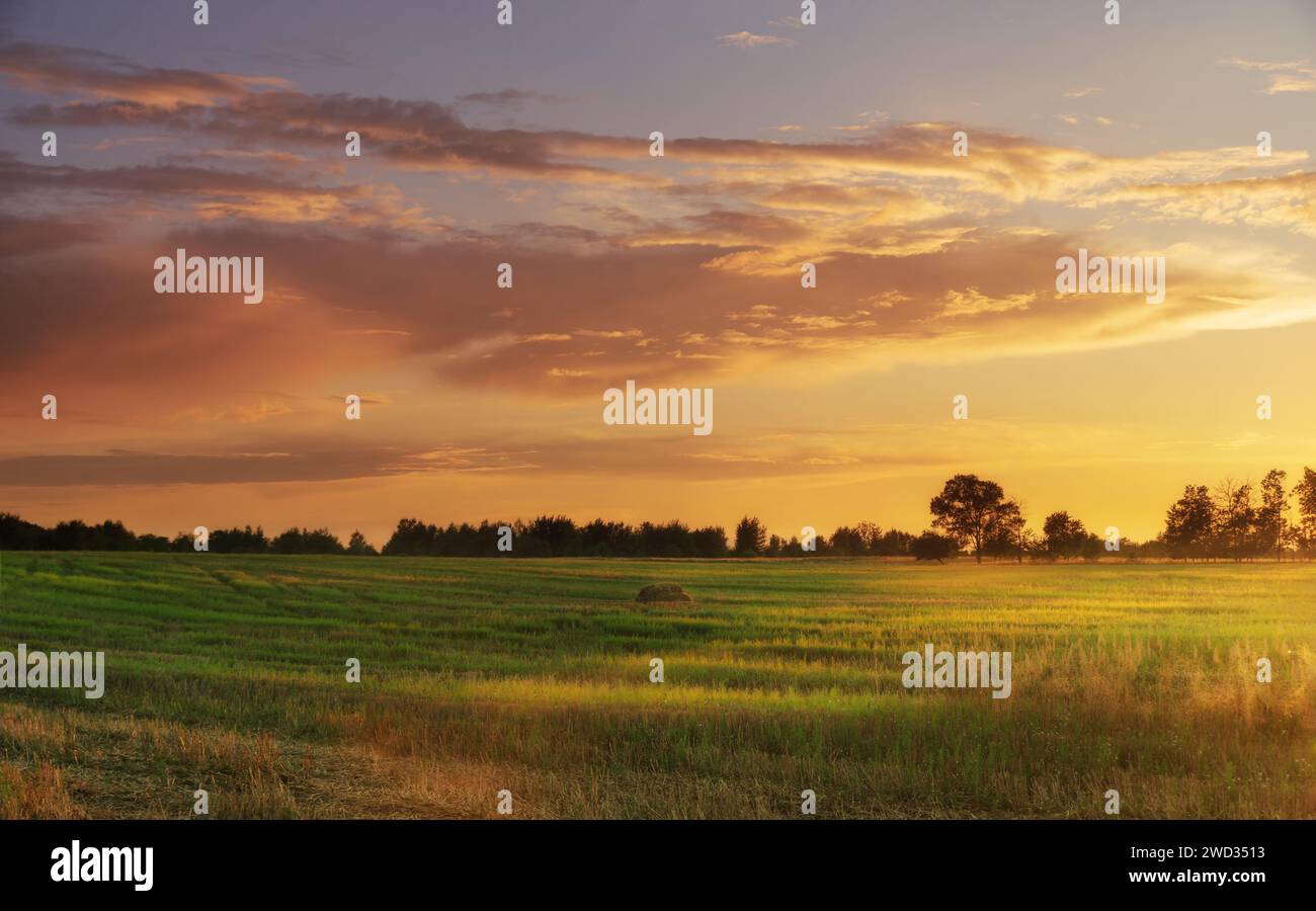 Crop field sky sun cloud hi-res stock photography and images - Alamy
