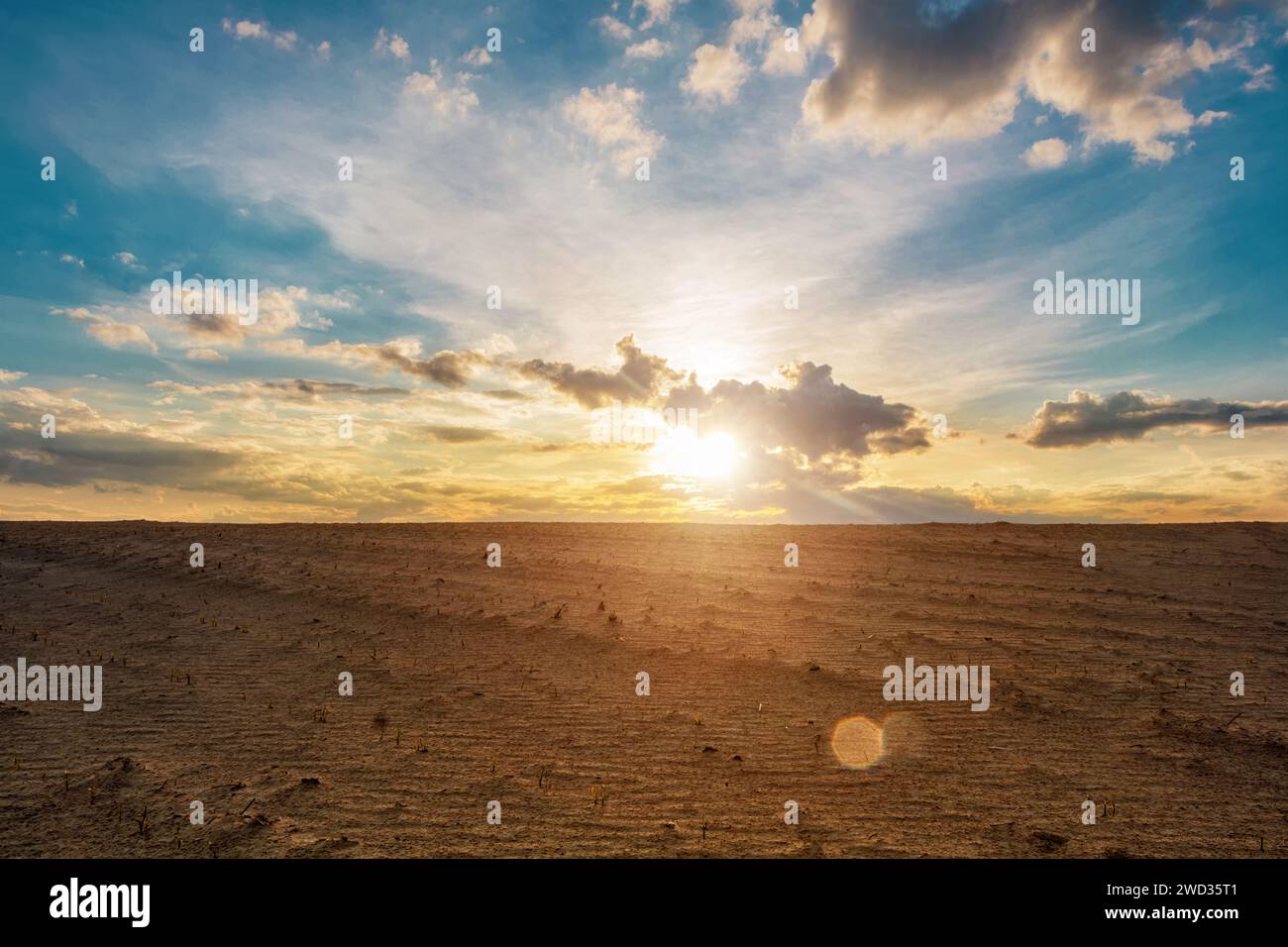 Dune backdrop hi-res stock photography and images - Alamy