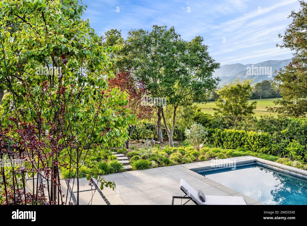 A spacious backyard featuring an exquisite, inviting swimming pool Stock Photo