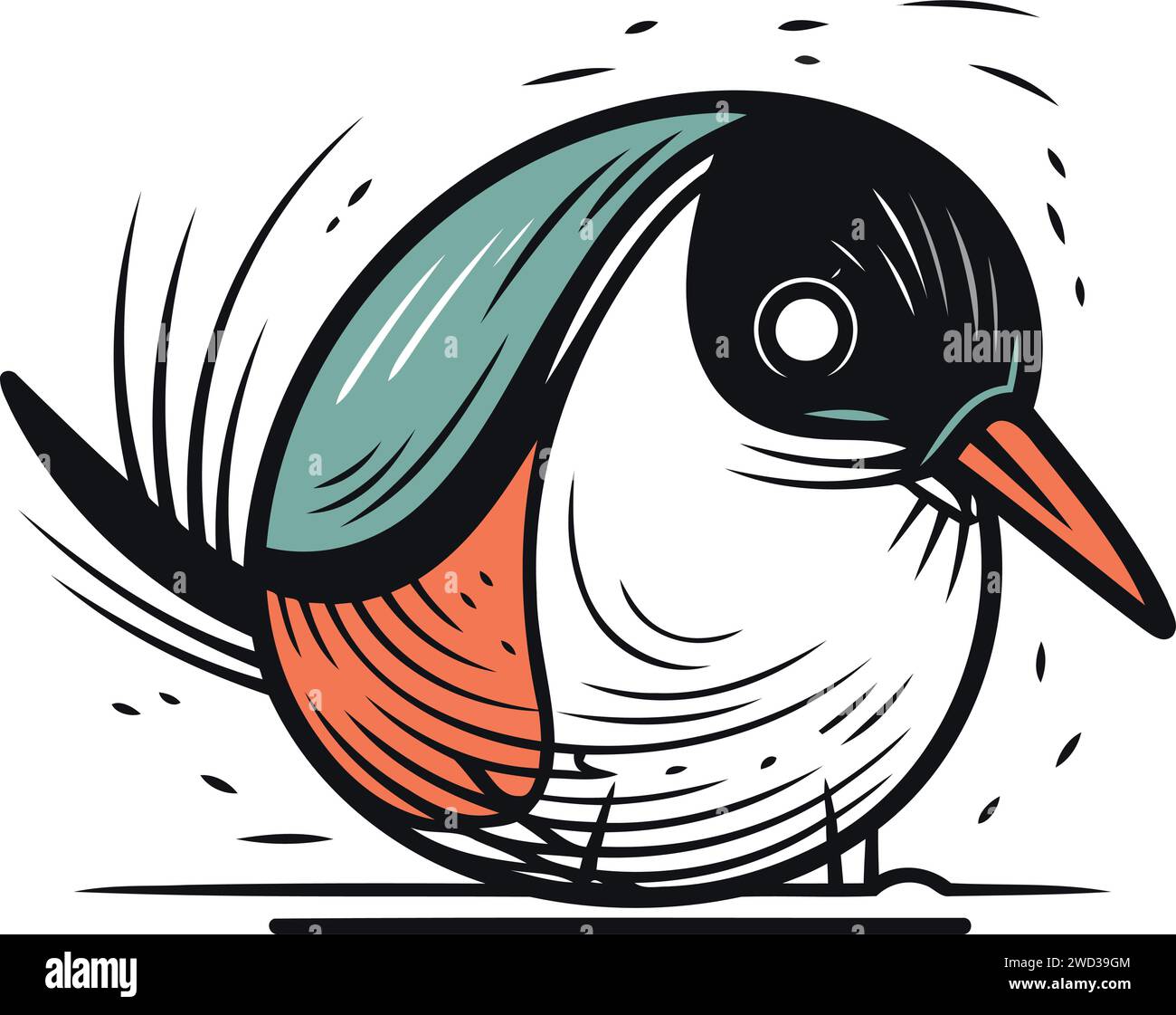 Hand drawn illustration kingfisher Stock Vector Images - Alamy