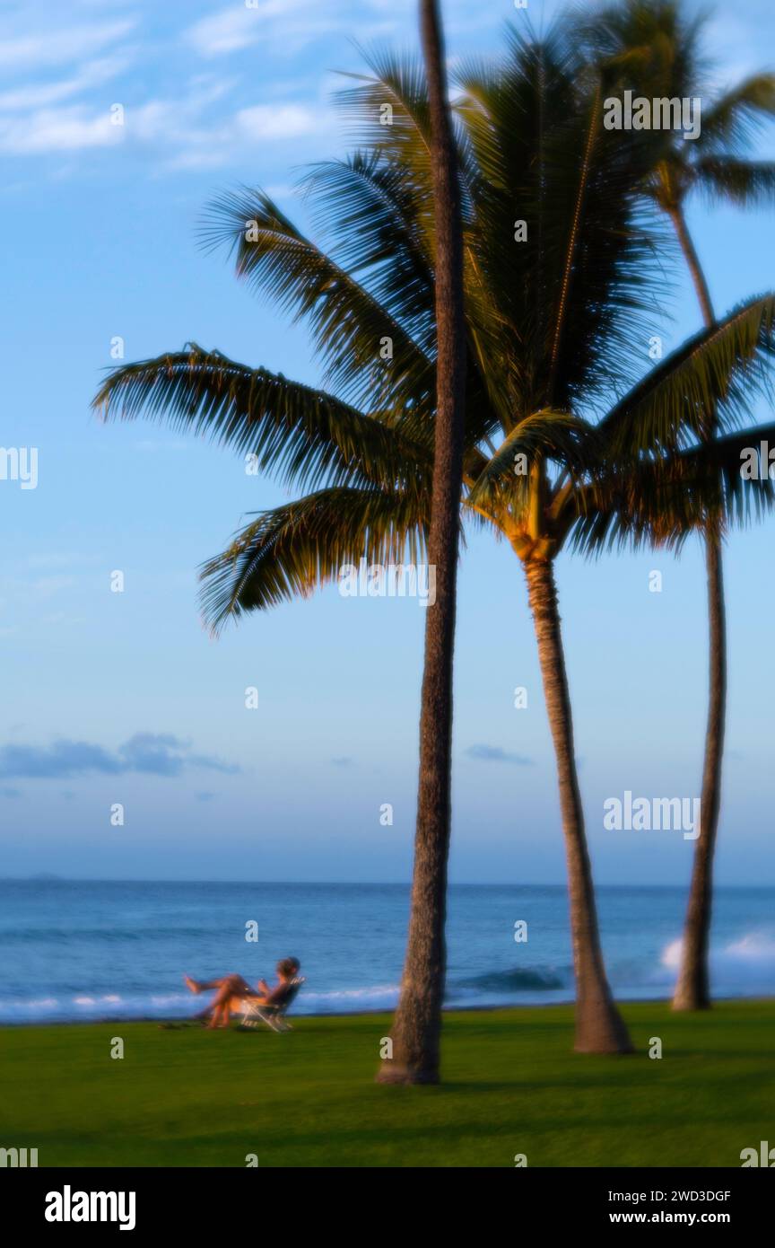 Sunset hawaii palm trees ocean hi-res stock photography and images - Alamy