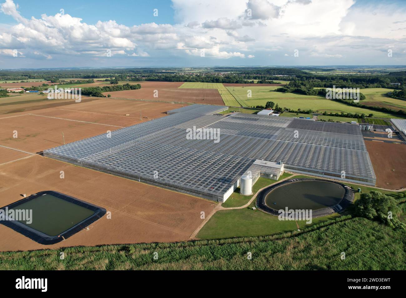 Glass greenhouses from above in sunny weather, big glass houses from aerial panorama landscape view,intensive modern agriculture in Europe Stock Photo