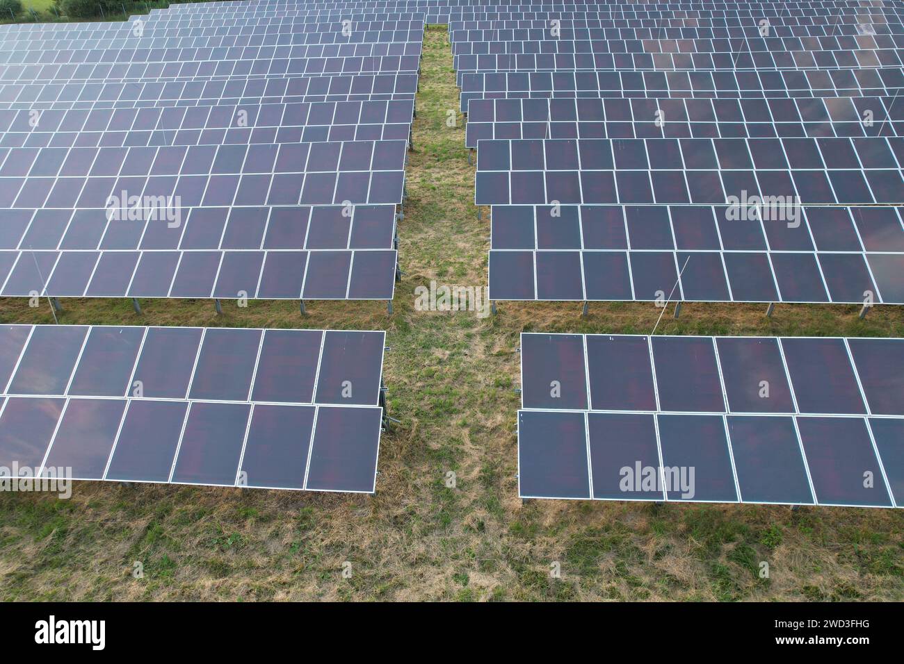 Modern solar power plant, photovoltaic panels green energy electricity