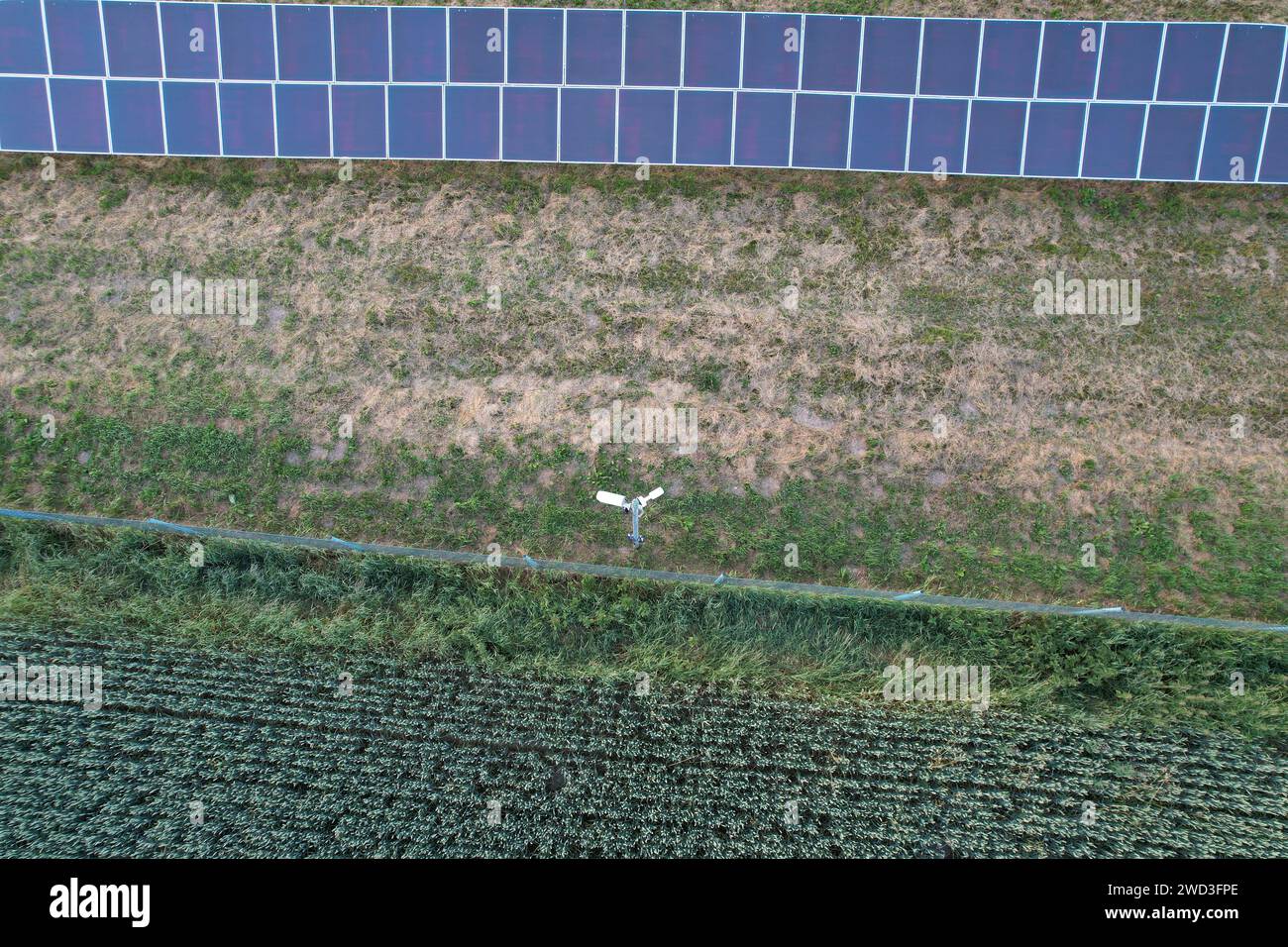 Modern solar power plant, photovoltaic panels green energy electricity