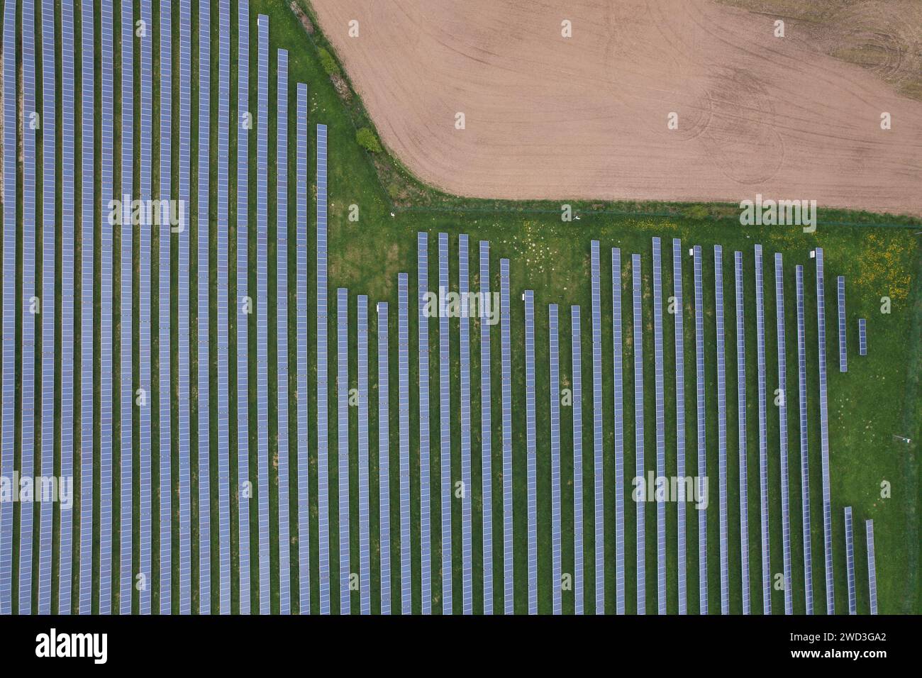 Modern solar power plant, photovoltaic panels green energy electricity