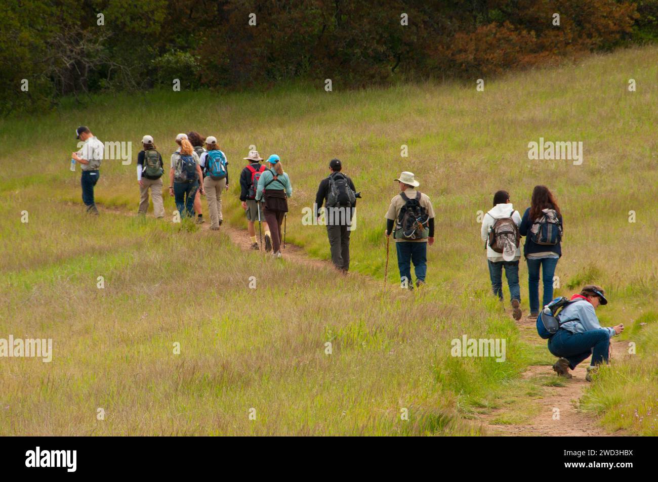 Hikers along Coyote Trail, Santa Rosa Plateau Ecological Preserve, California Stock Photo