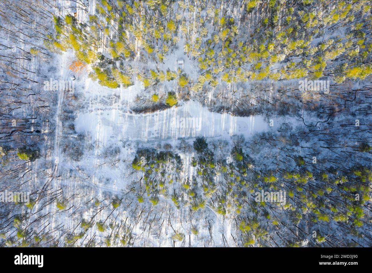Aerial view snowy forest frozen hi-res stock photography and images - Alamy