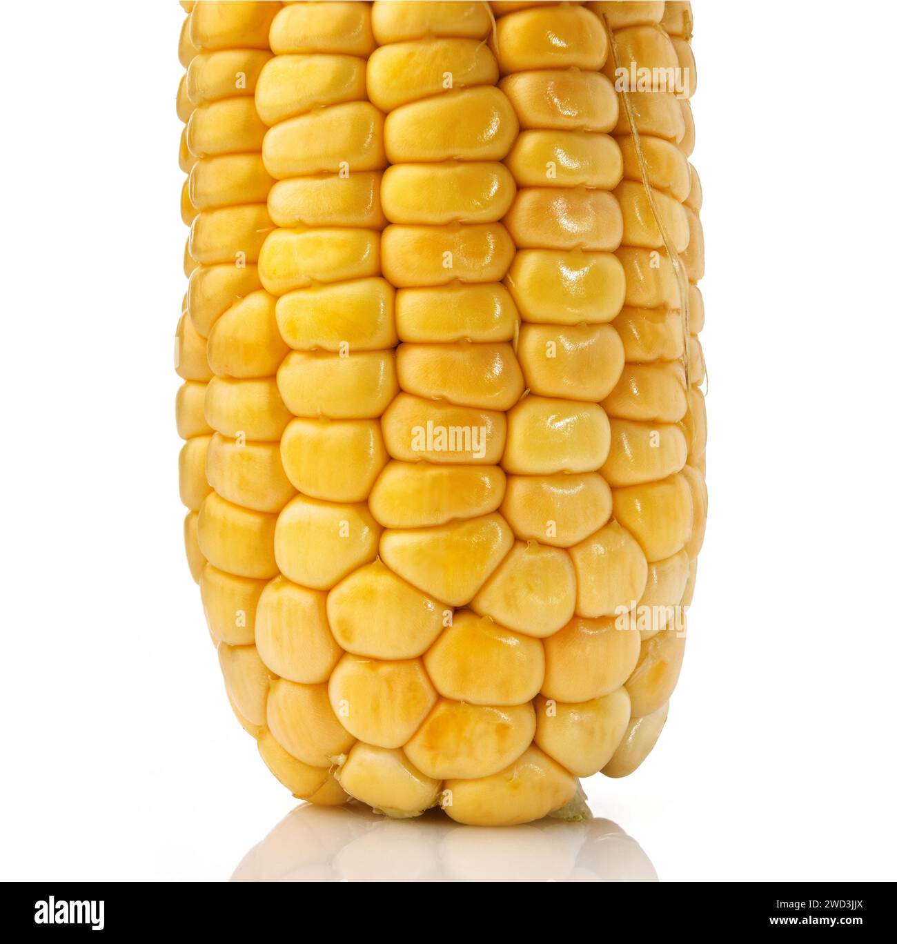 Close-up fresh corn isolated on white background Stock Photo