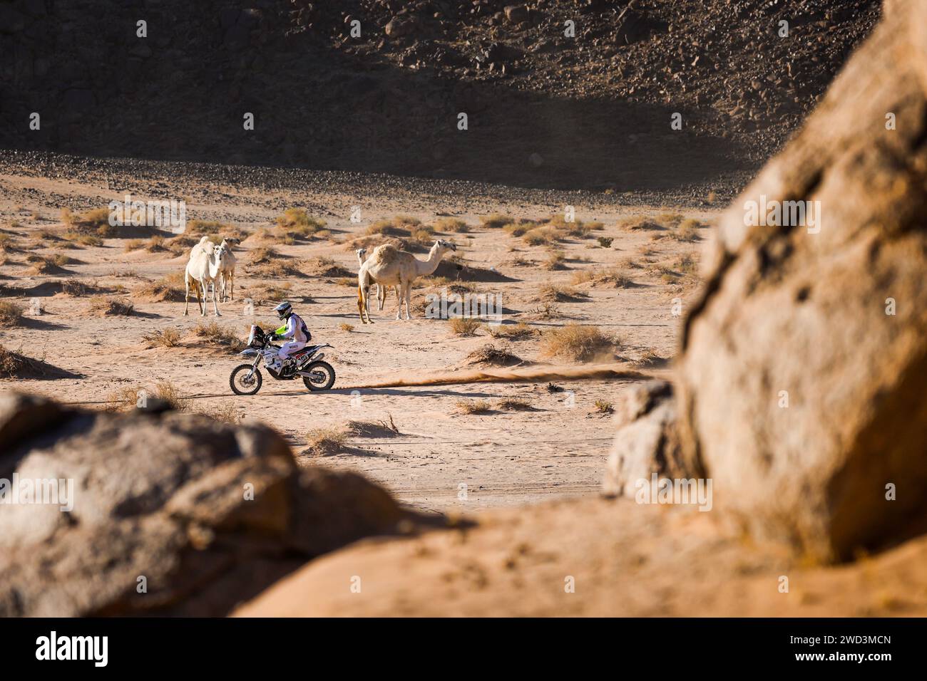 103 THIXTON Ashley (zwe), HT Rally Raid Husqvarna Racing, KTM, Motul ...