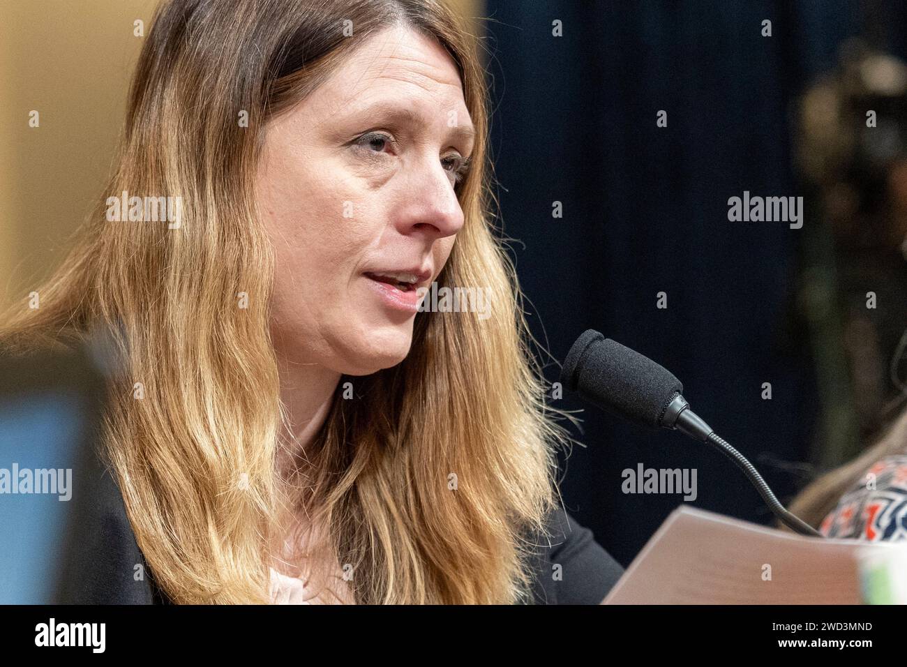 Washington, District Of Columbia, USA. 18th Jan, 2024. Committee