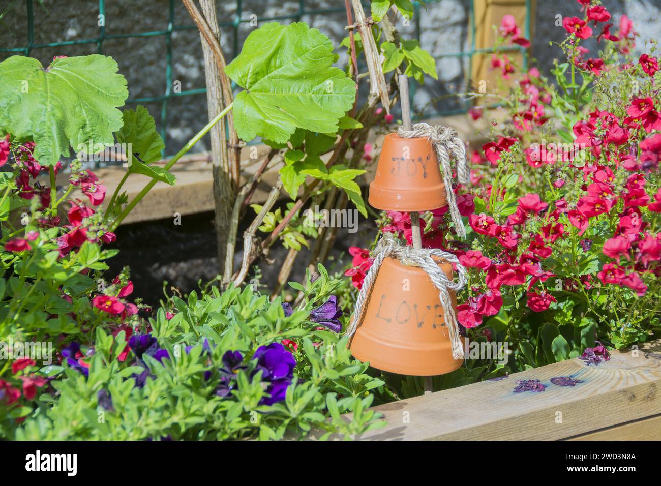 Window box with flowers including Twinspur. Flower pot with Joy and Love hanging on string. Stock Photo