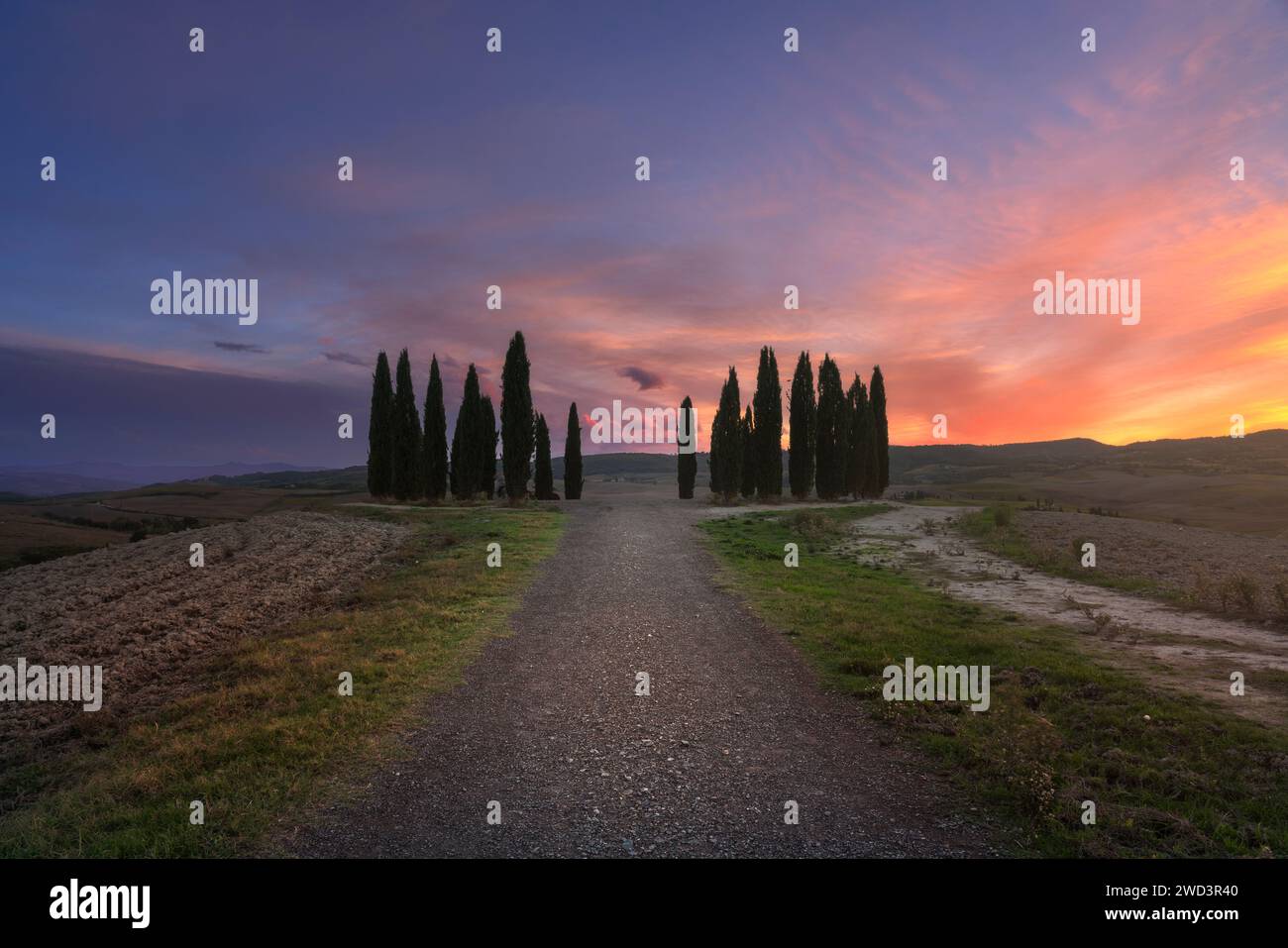 SAN QUIRICO D'ORCIA, TUSCANY / ITALY - October 27, 2023: The circle of cypresses of San Quirico d'Orcia in Val d'Orcia, during a colorful sunset in au Stock Photo