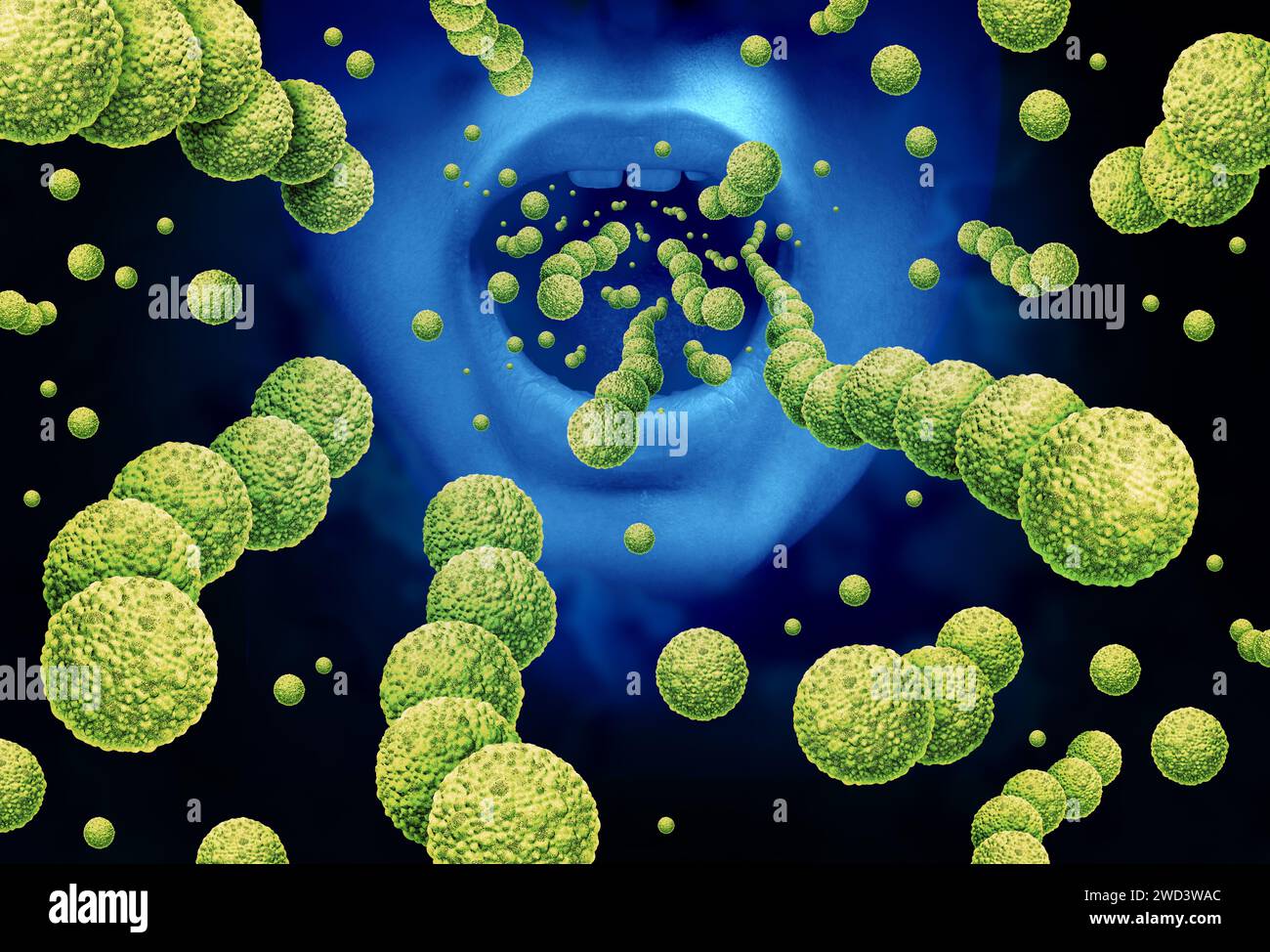Streptococcus oral Bacteria and Streptococcal infections as gram-positive bacterial outbreak as spherical Streptococcaceae cell division spreading Stock Photo