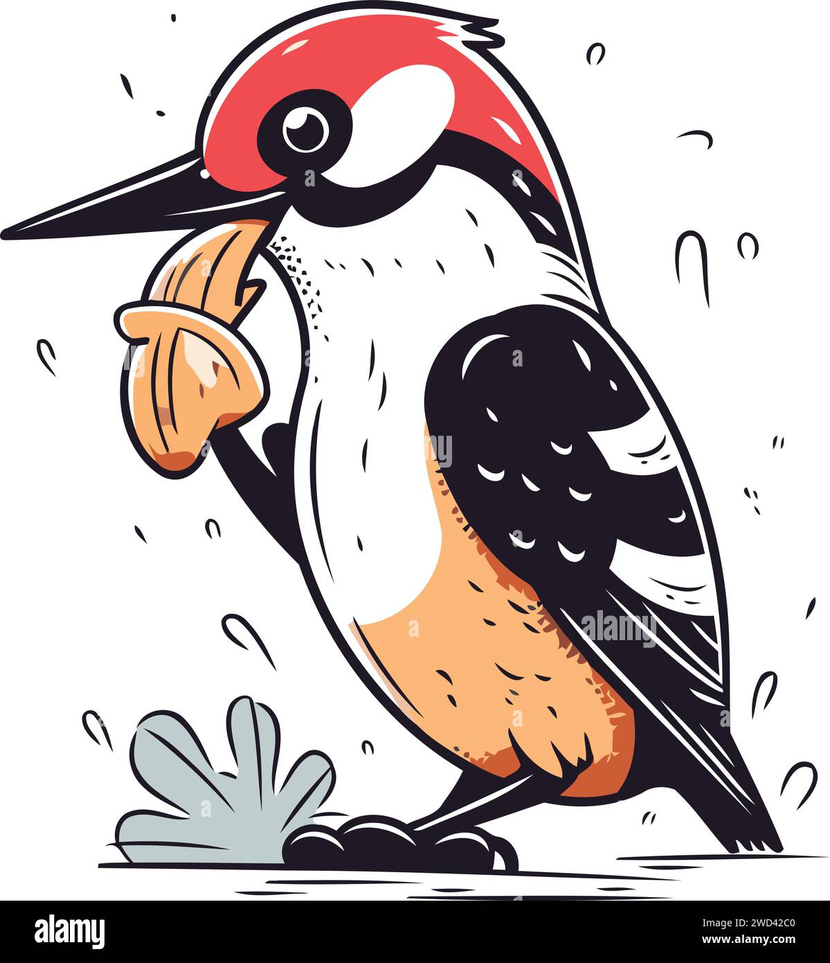 Dendrocopos major. great spotted woodpecker. vector illustration Stock