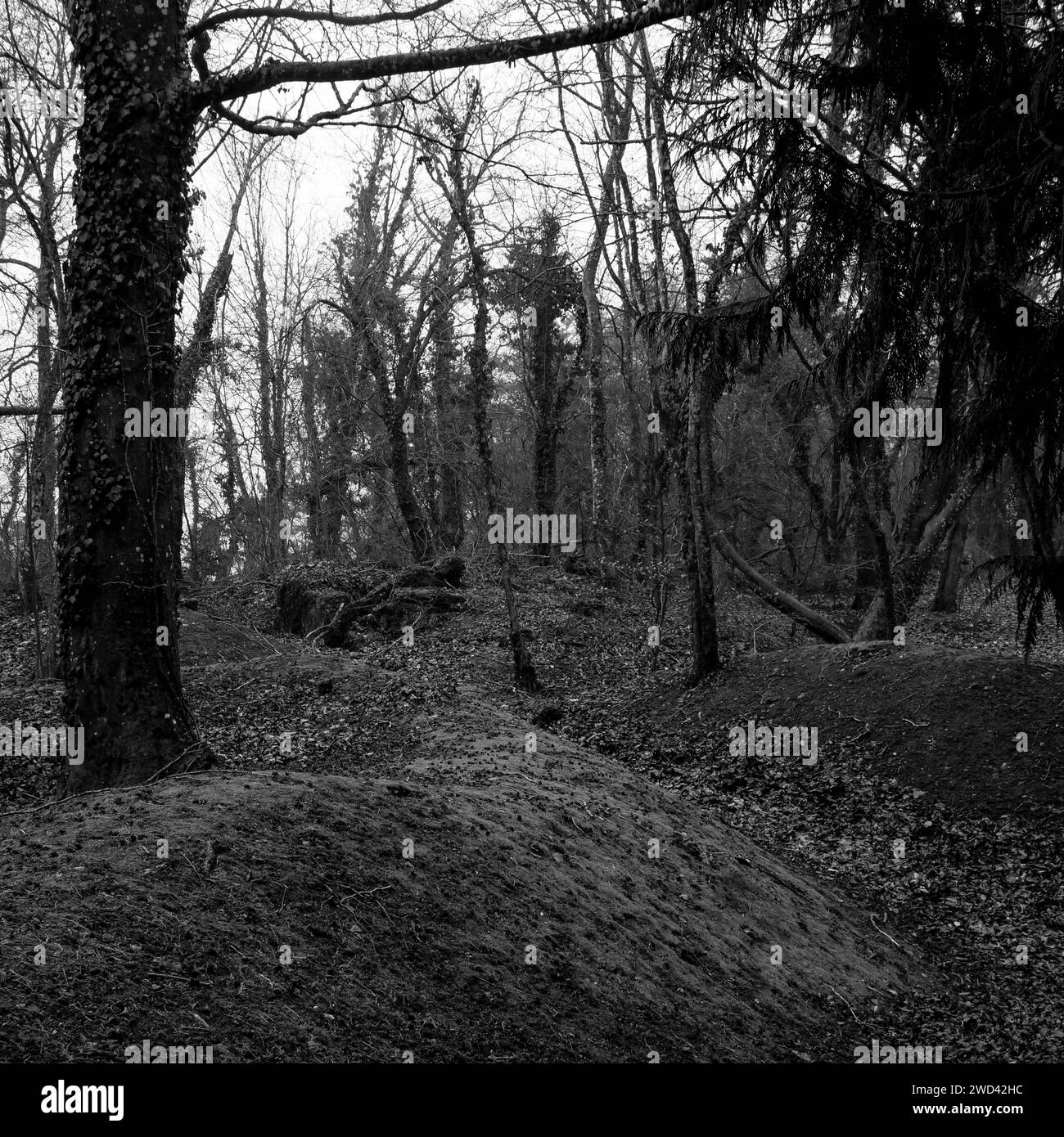 Visit to verdun Black and White Stock Photos & Images - Alamy