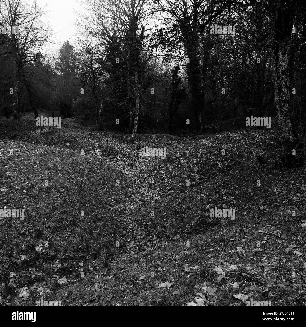 Visit to verdun Black and White Stock Photos & Images - Alamy