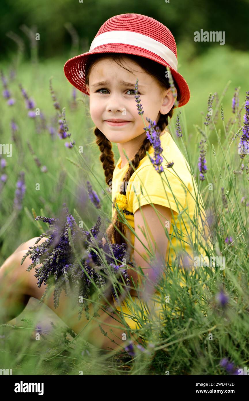 A little girl sitting on a lavender field with a bouquet of lavender in her hands, a girl in a hat. Stock Photo