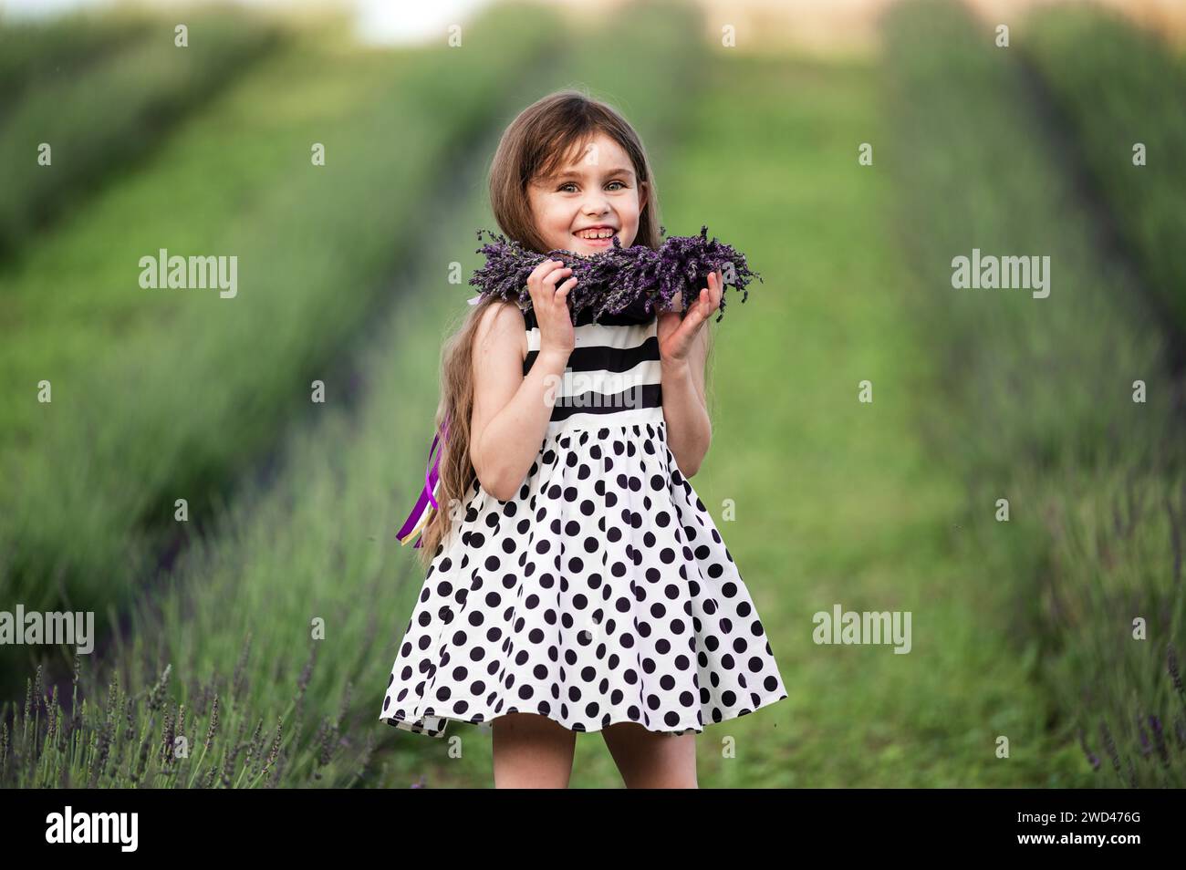 cute little girl smiling and fixing her crown that fell off her head, walking in a lavender field. Stock Photo