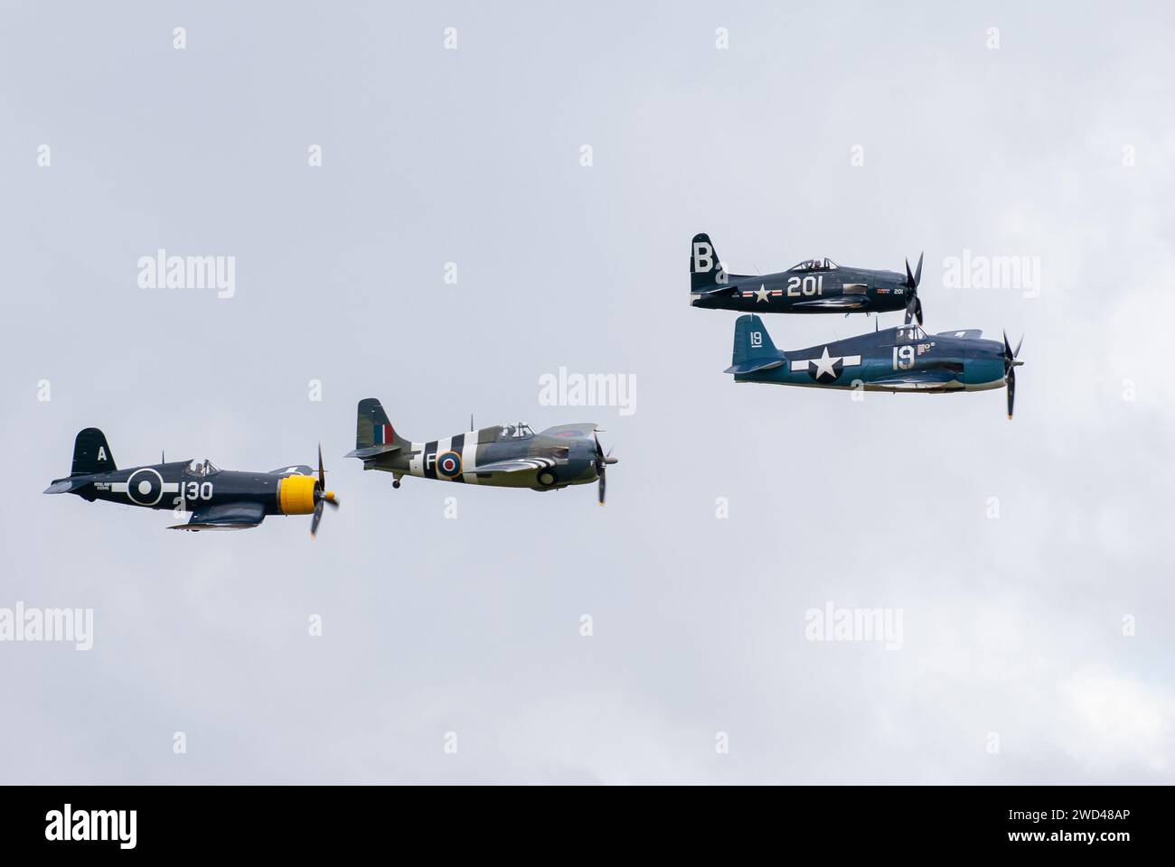 American WW2 fighter planes fly in close formation in the sky. F4U corsair, F8F Wildcat, F4F among others. Stock Photo