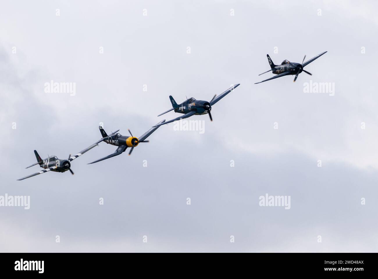 American WW2 fighter planes fly in close formation in the sky. F4U corsair, F8F Wildcat, F4F among others. Stock Photo