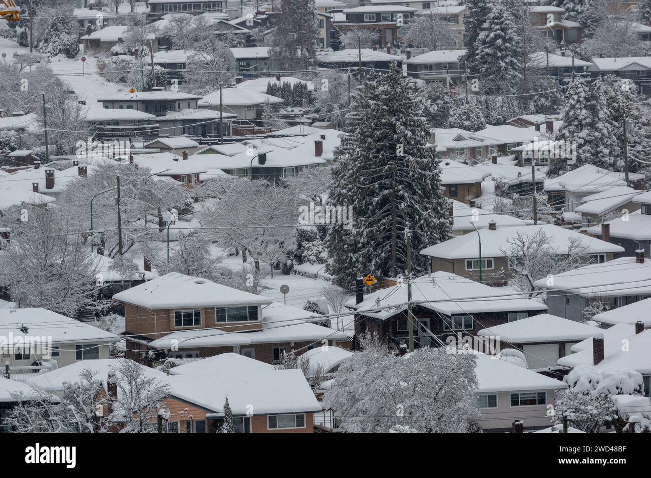 A snow storm has laid a blanket of snow over Brentwood and the