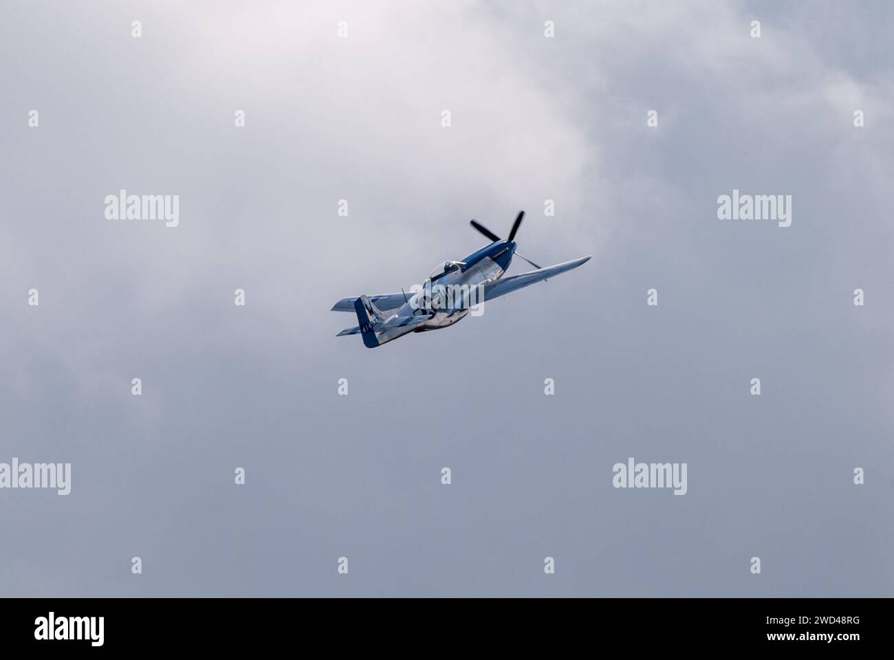 P51 mustang warbird fighter plane from WW2 ‘Moonbeam McSwine' Tail