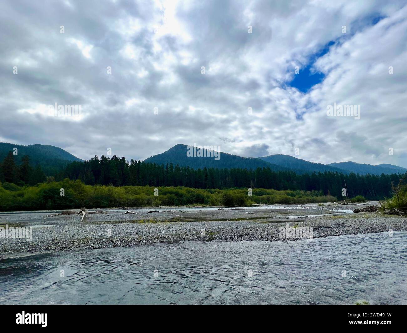 Hiking at olympic national park