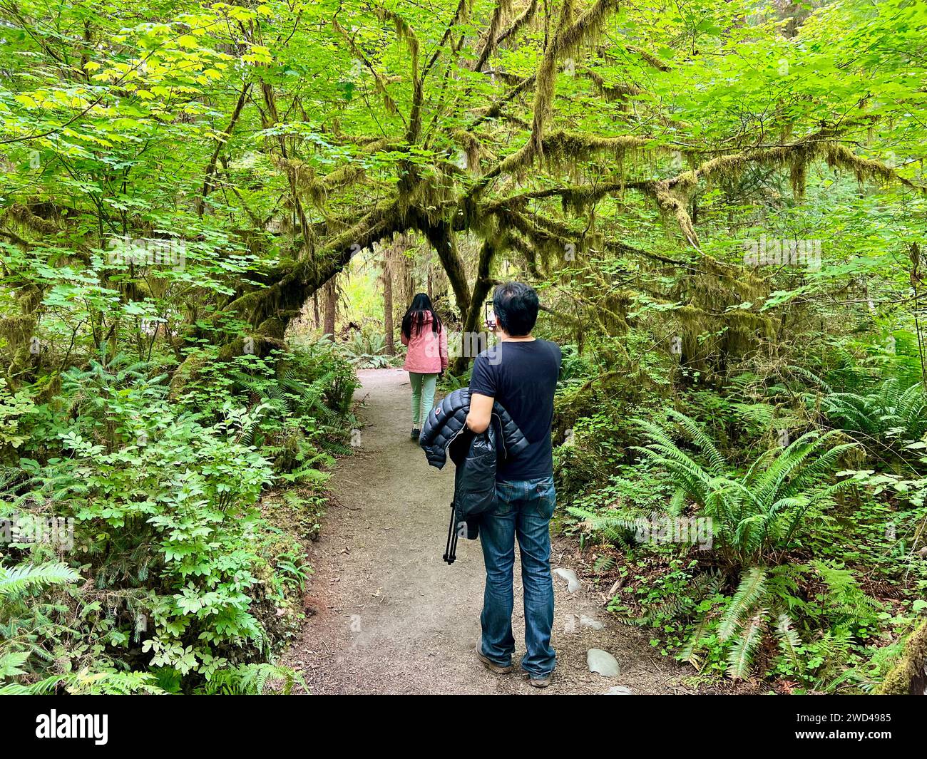 Hiking at Olympic National Park