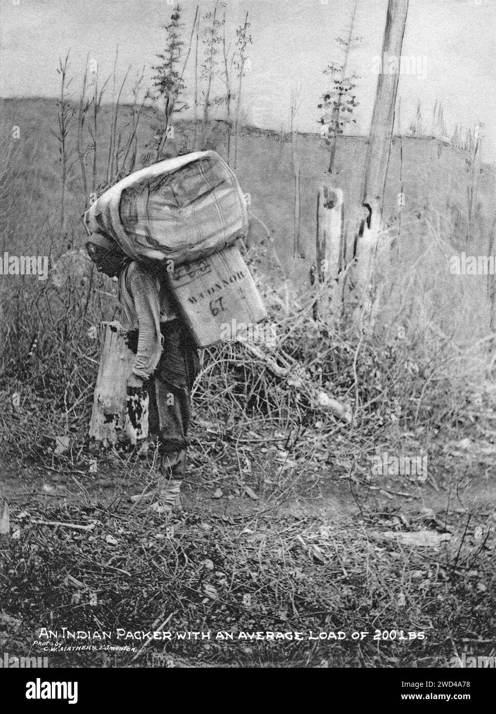 A 1901 photograph of an indigenous First Nations ‘Packer’ carrying a heavy load on his back, taken by C W Mathers on an expedition to the far north of Canada and published in his book ‘The Far North’. Mathers captioned this photograph: An Indian [First Nations] packer with an average load of 200 lbs. Stock Photo