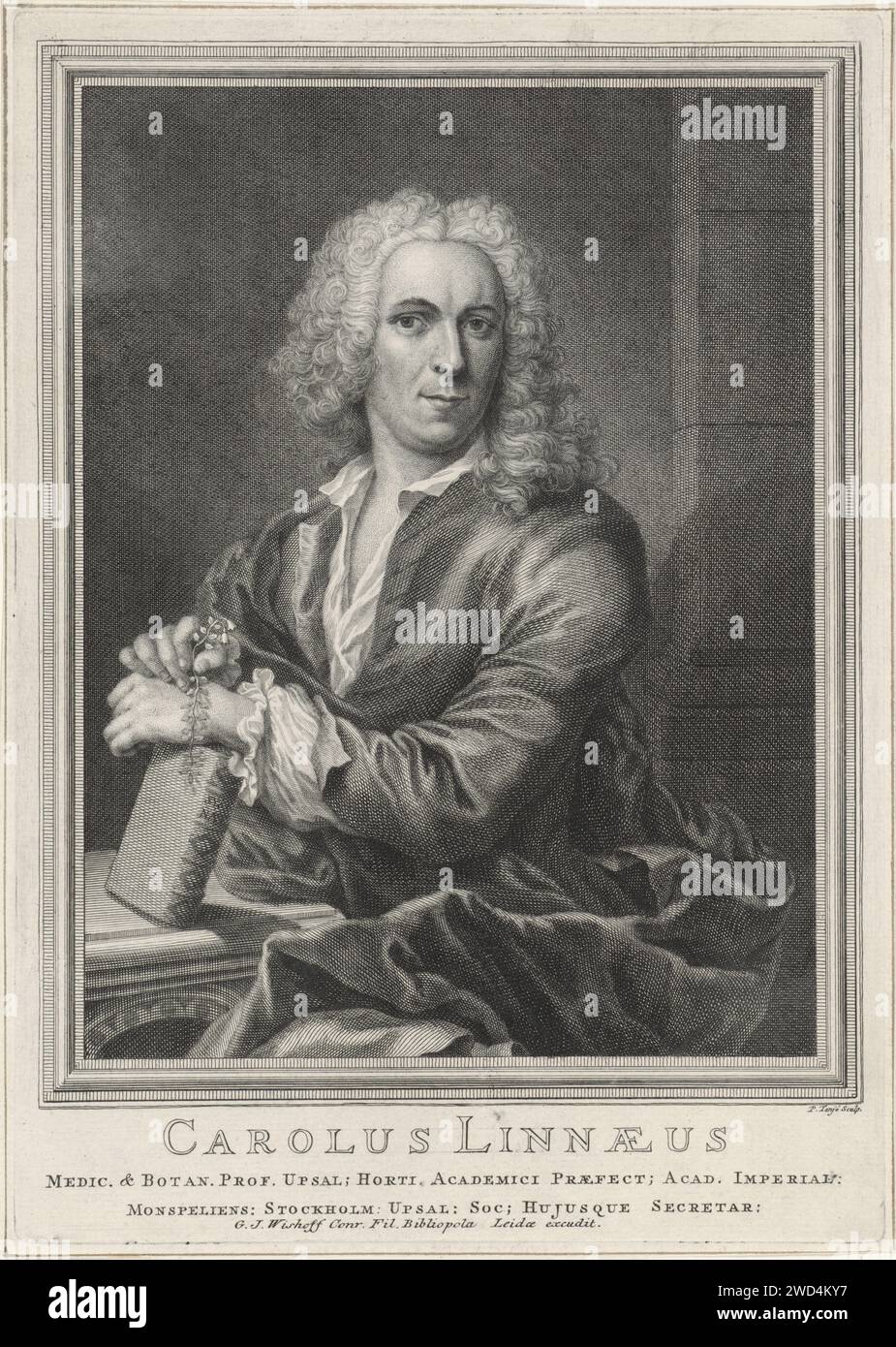 Portrait of Carolus Linaeus, Pieter Tanjé, 1716 - 1761 print Portrait of botanist Carolus Linaeus, resting his hands on his book Systema Naturae. print maker: Amsterdampublisher: Leiden paper engraving / etching flowers Stock Photo