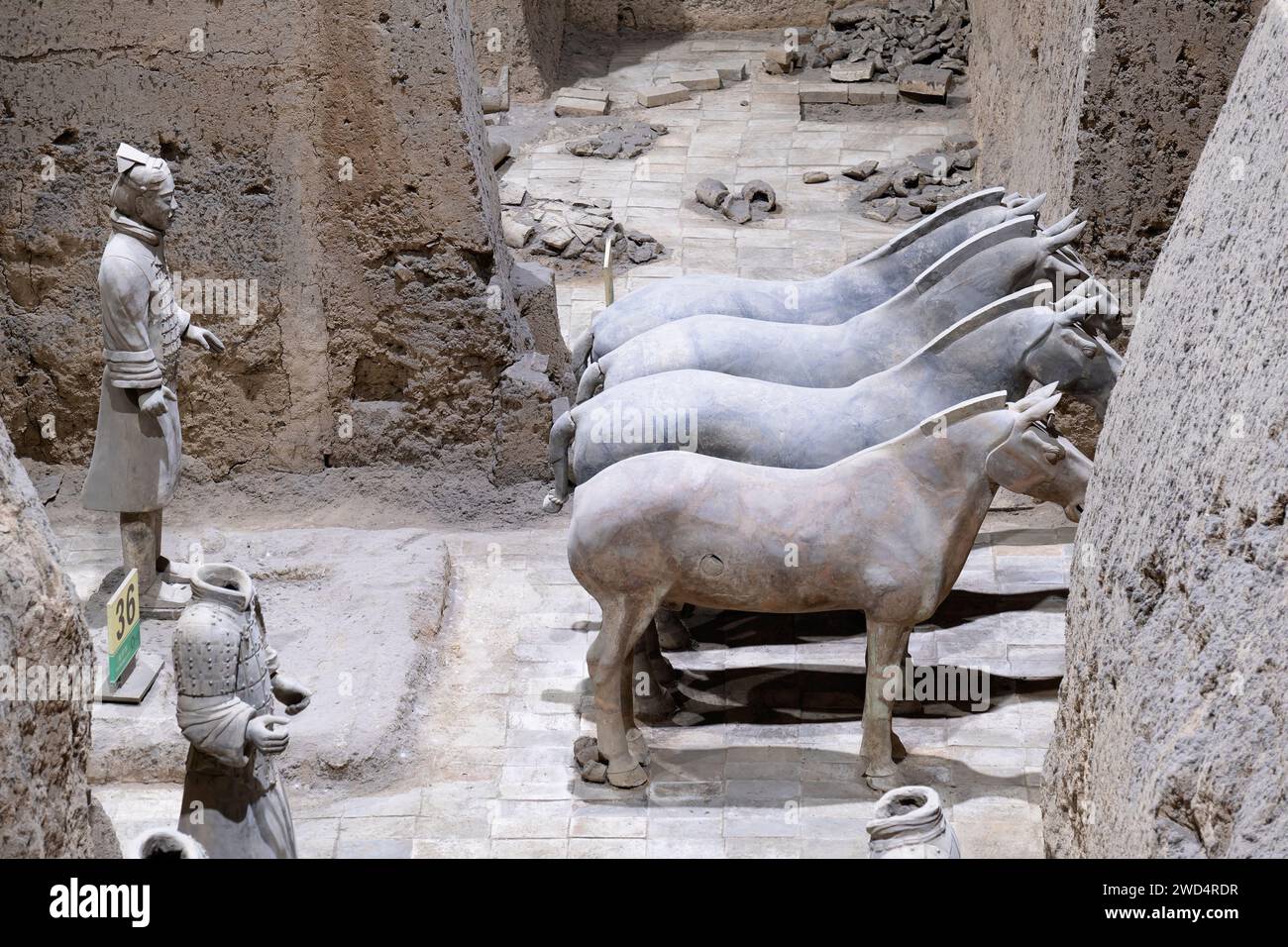 Remains of Chariot Horses with a Driver, Command Pit 3, Terracotta Warriors Museum, Xian, China Stock Photo