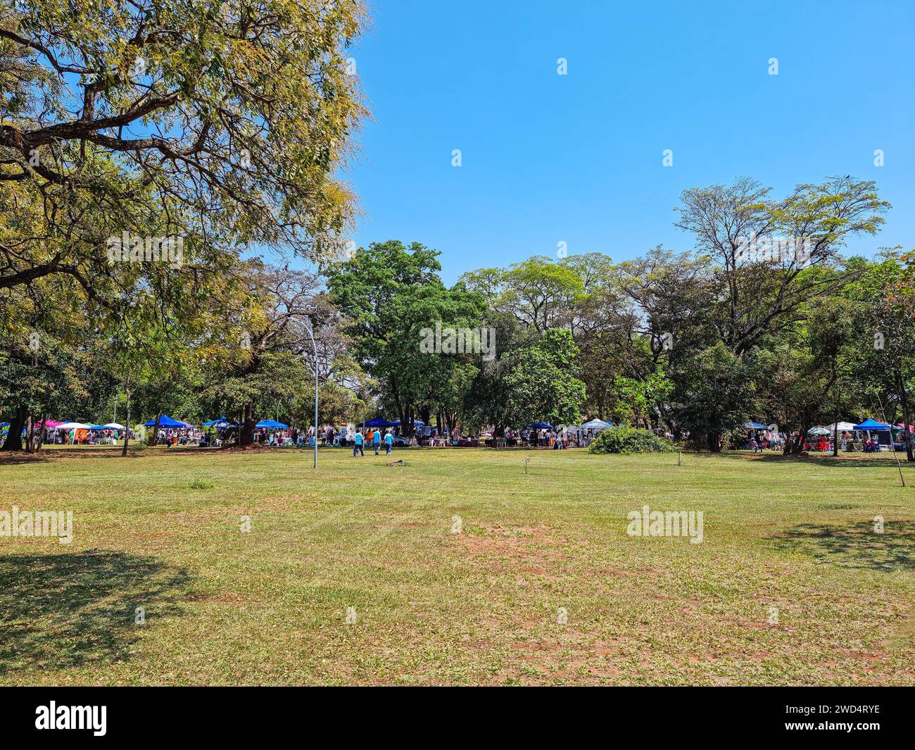 Bosque da paz hi-res stock photography and images - Alamy