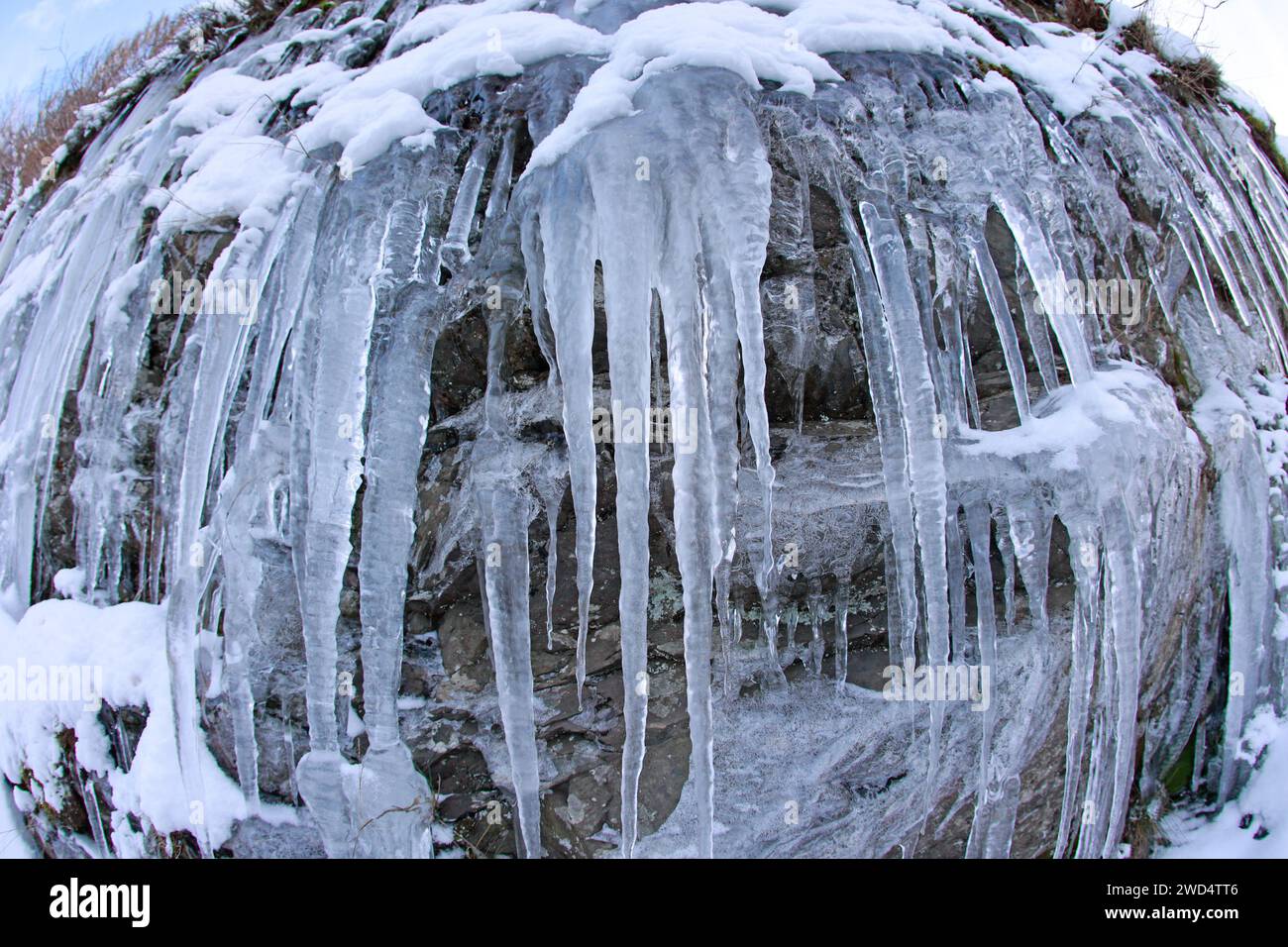 Tanne, Germany. 18th Jan, 2024. Icicles form on a rock face in Tanne 