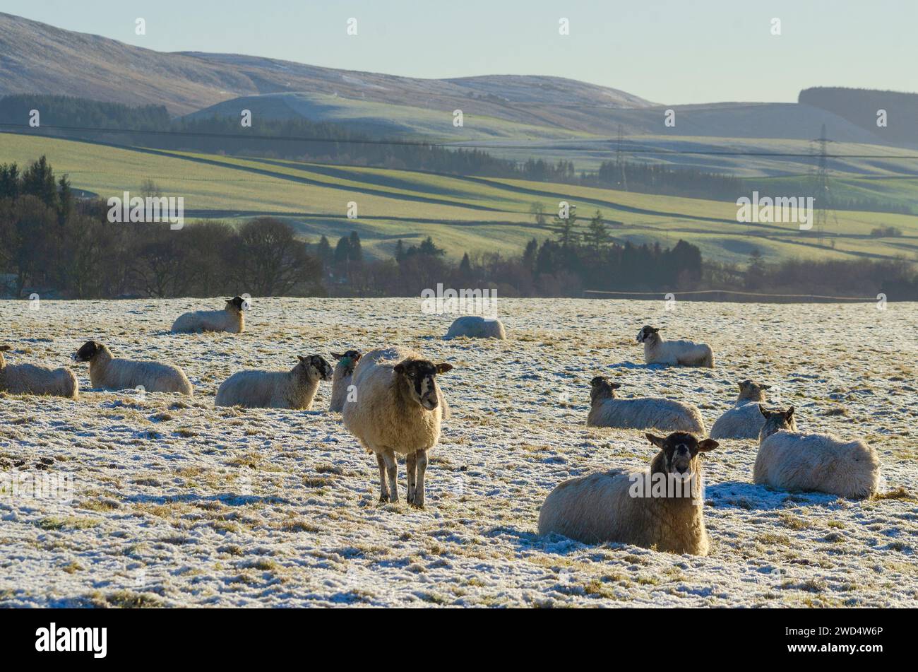 Annandale scotland snow hires stock photography and images Alamy