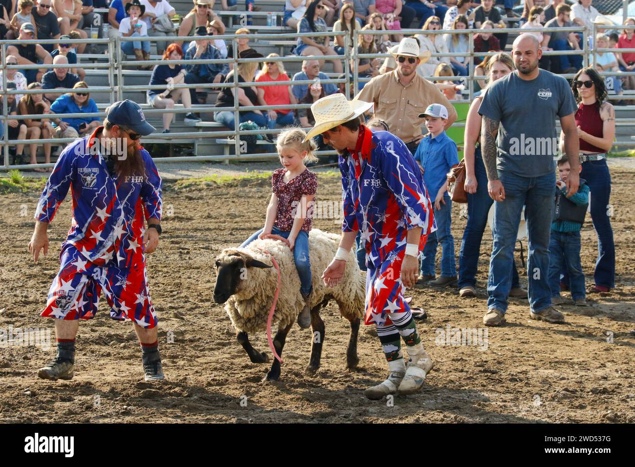 Muttin Bustin. Young girl riding a sheep. Small town weekly Bull Riding as a sport. Fox Hollow Rodeo. Waynesville, Dayton, Ohio, USA. Stock Photo