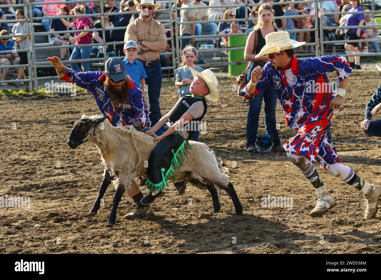 Muttin Bustin. Young boy riding a sheep having quick acceleration. Small town weekly Bull Riding as a sport. Fox Hollow Rodeo. Waynesville, Dayton, Oh Stock Photo