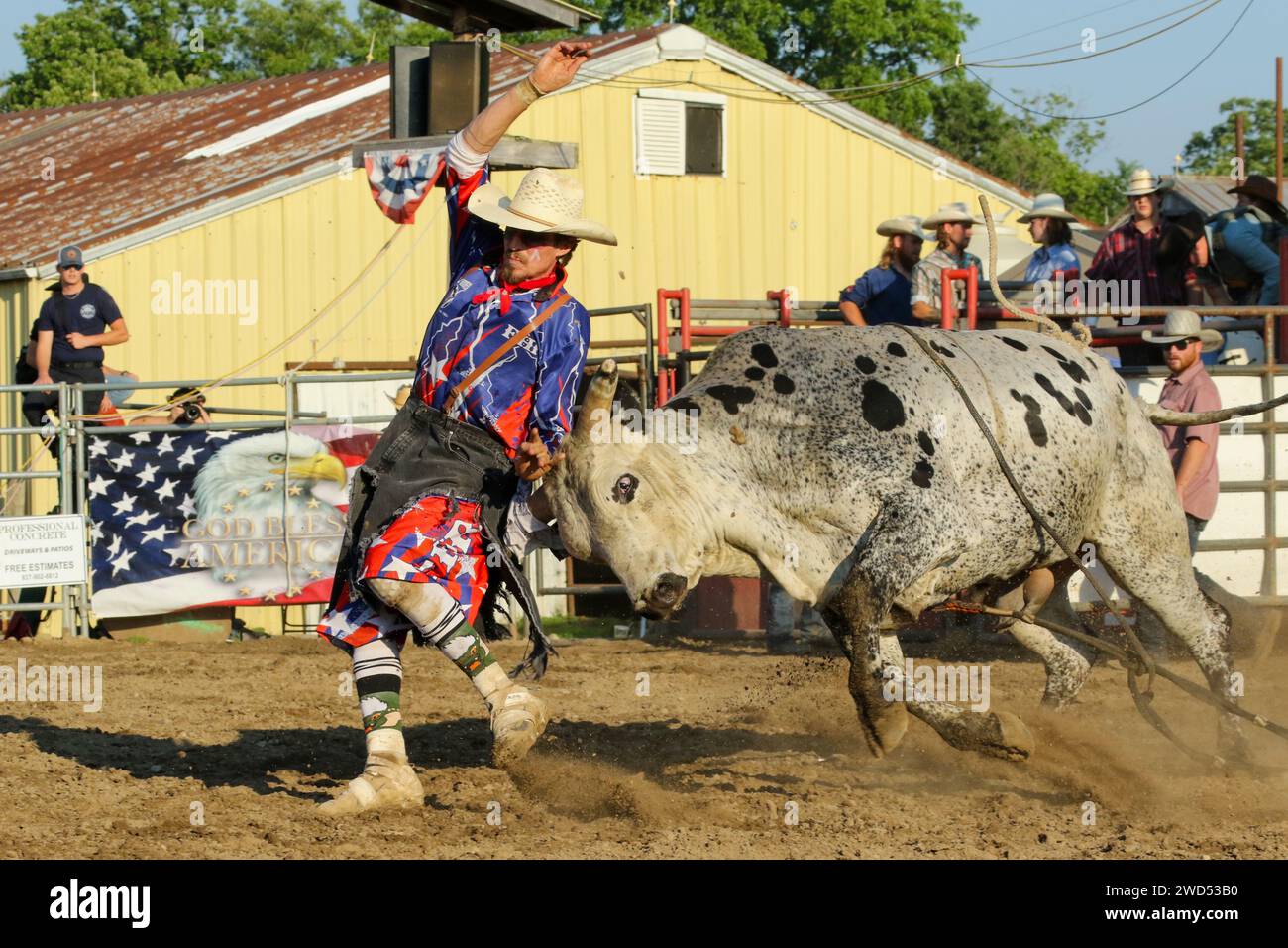 The bull catches the rodeo clown. Small town weekly Bull Riding as a sport. Fox Hollow Rodeo. Waynesville, Dayton, Ohio, USA. Stock Photo