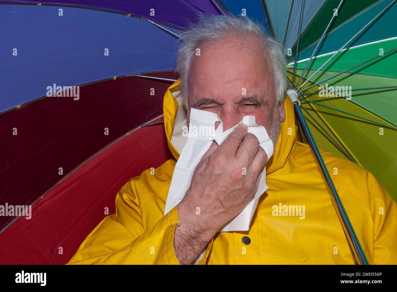 An older man in a yellow raincoat with an colorful umbrella defies the bad weather although he is plagued by a runny nose. Stock Photo