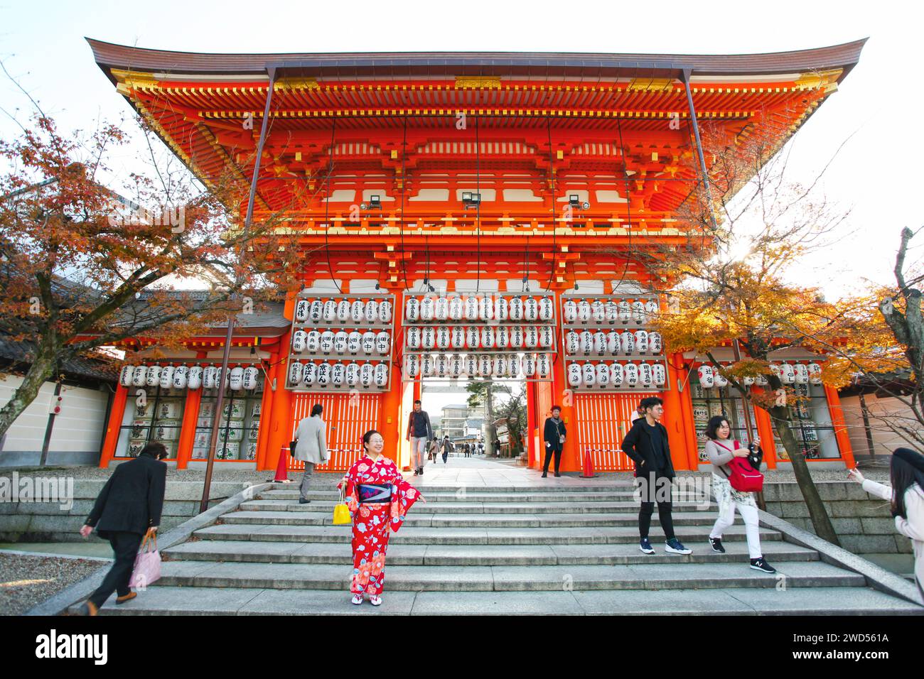 Yasaka shrine torii gate hi-res stock photography and images - Alamy