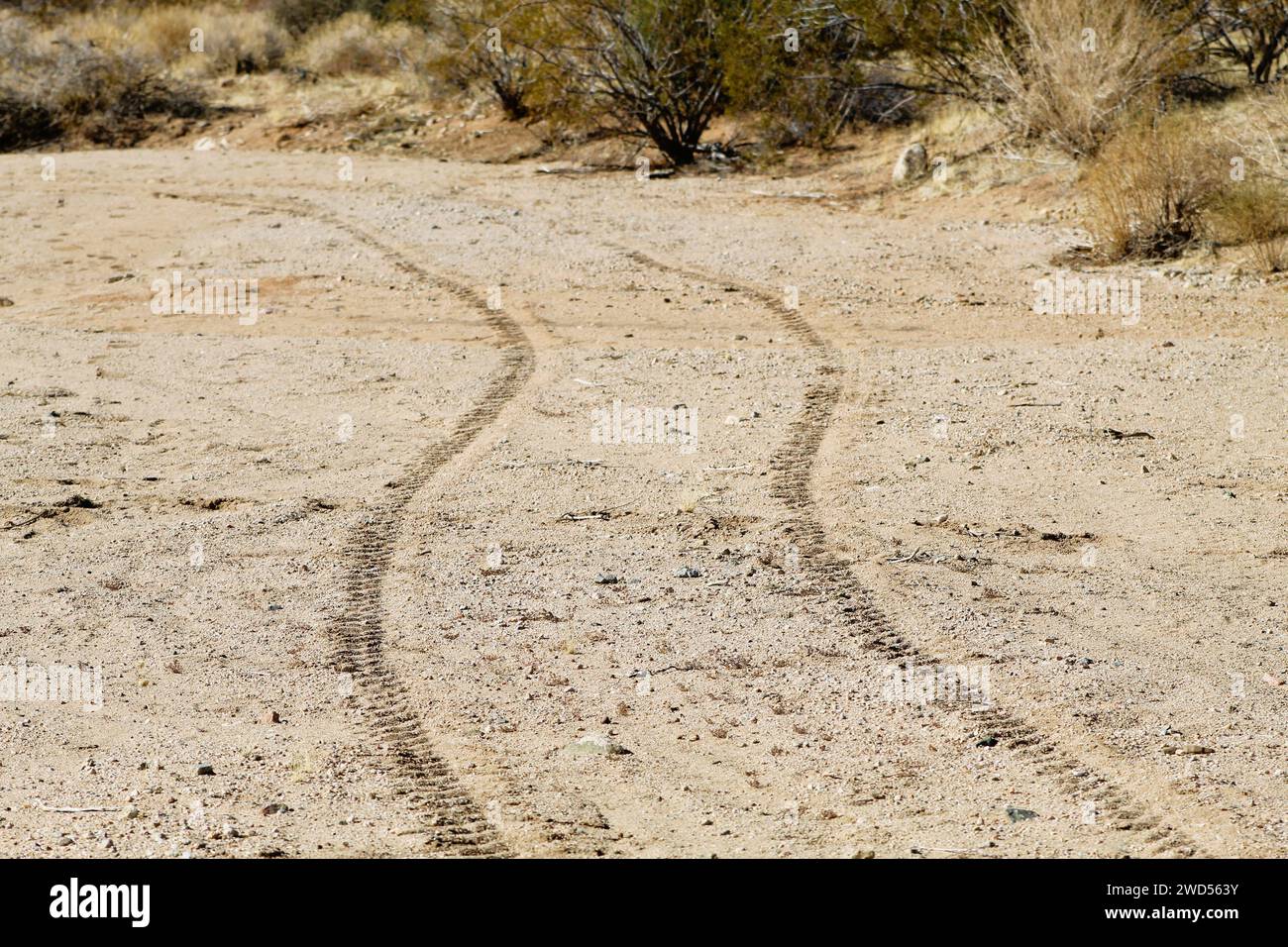Tire tracks in the desert sand Stock Photo