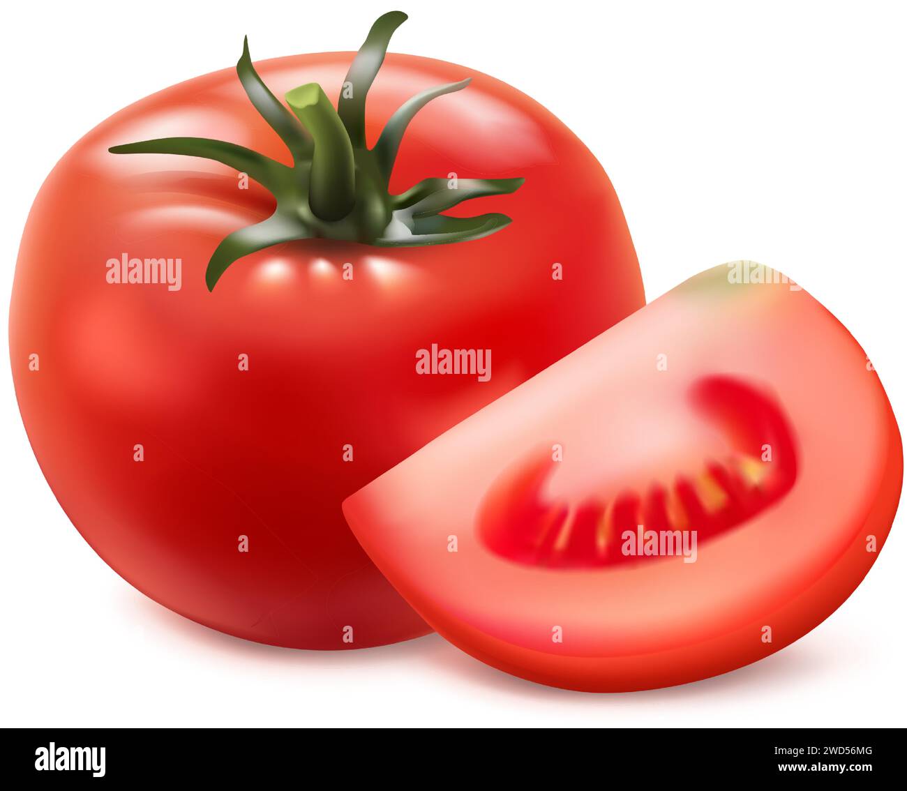sliced and whole tomato. Isolated on white background. realistic vector ...