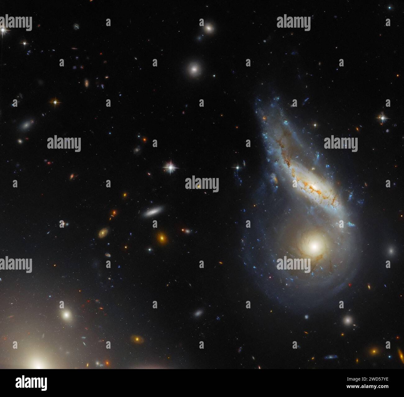 Space. 18th Jan, 2024. Hubble Picture of the Week features Arp 122, a peculiar galaxy that in fact comprises two galaxies, NGC 6040, the tilted, warped spiral galaxy and LEDA 59642, the round, face-on spiral, that are in the midst of a collision. Image captured January 8, 2024. (Credit Image: © ESA/Hubble/ZUMA Press Wire) EDITORIAL USAGE ONLY! Not for Commercial USAGE! Stock Photo