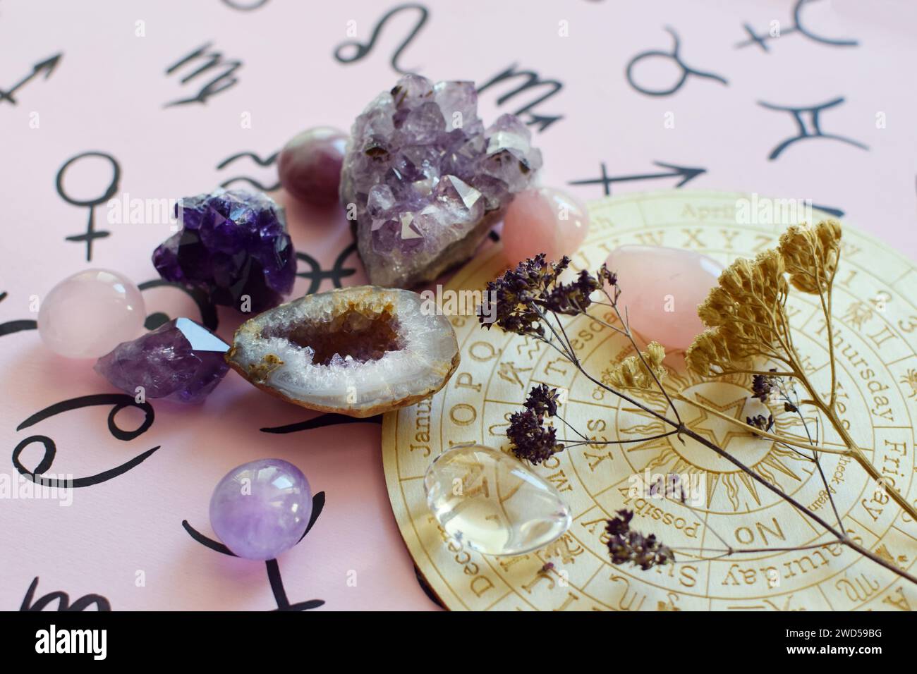 Beautiful amethyst crystals and dry herbs on a pink background with ...