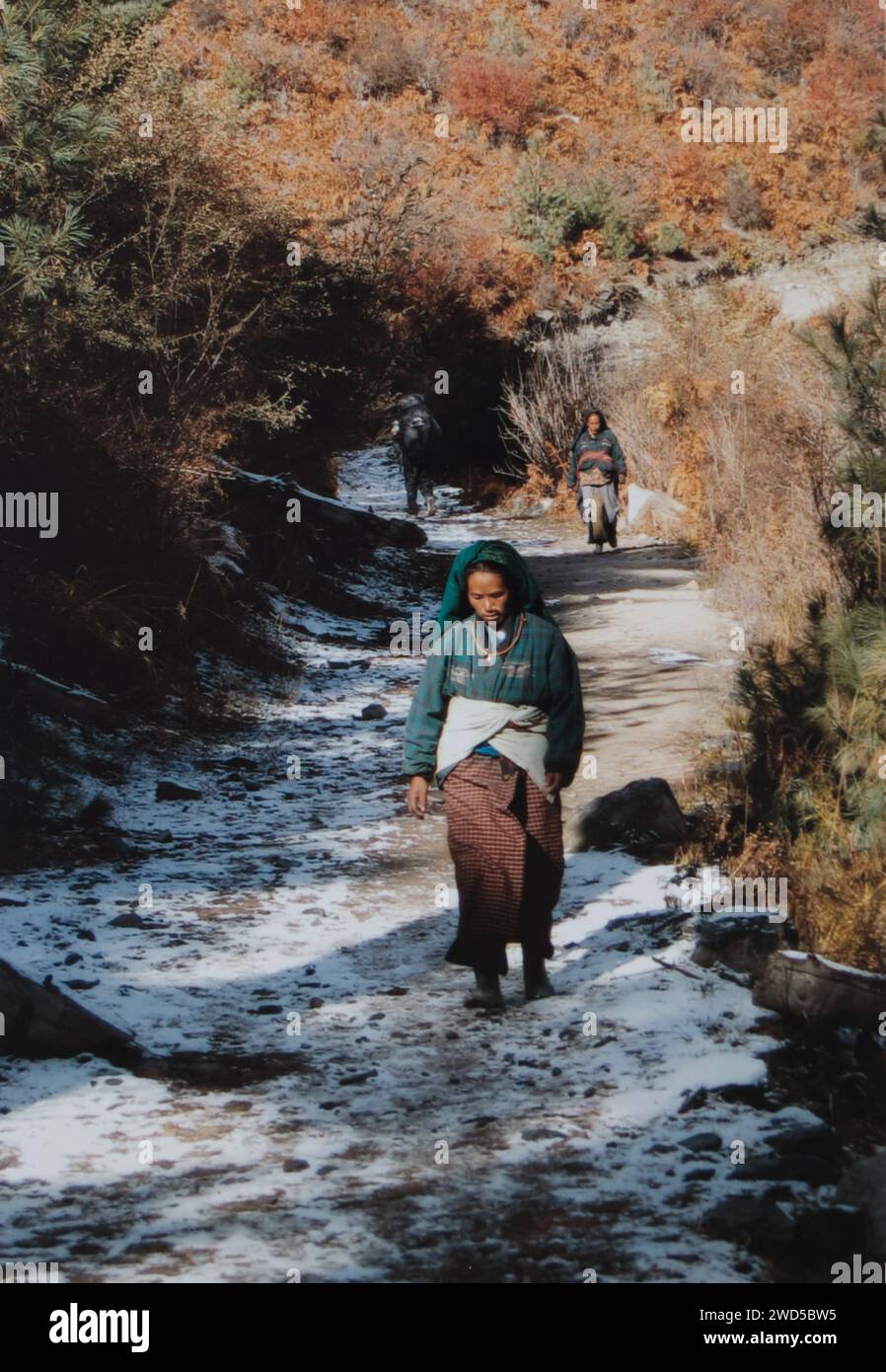 Nepalese woman walking down snowy mountain path circa 2003 Stock Photo